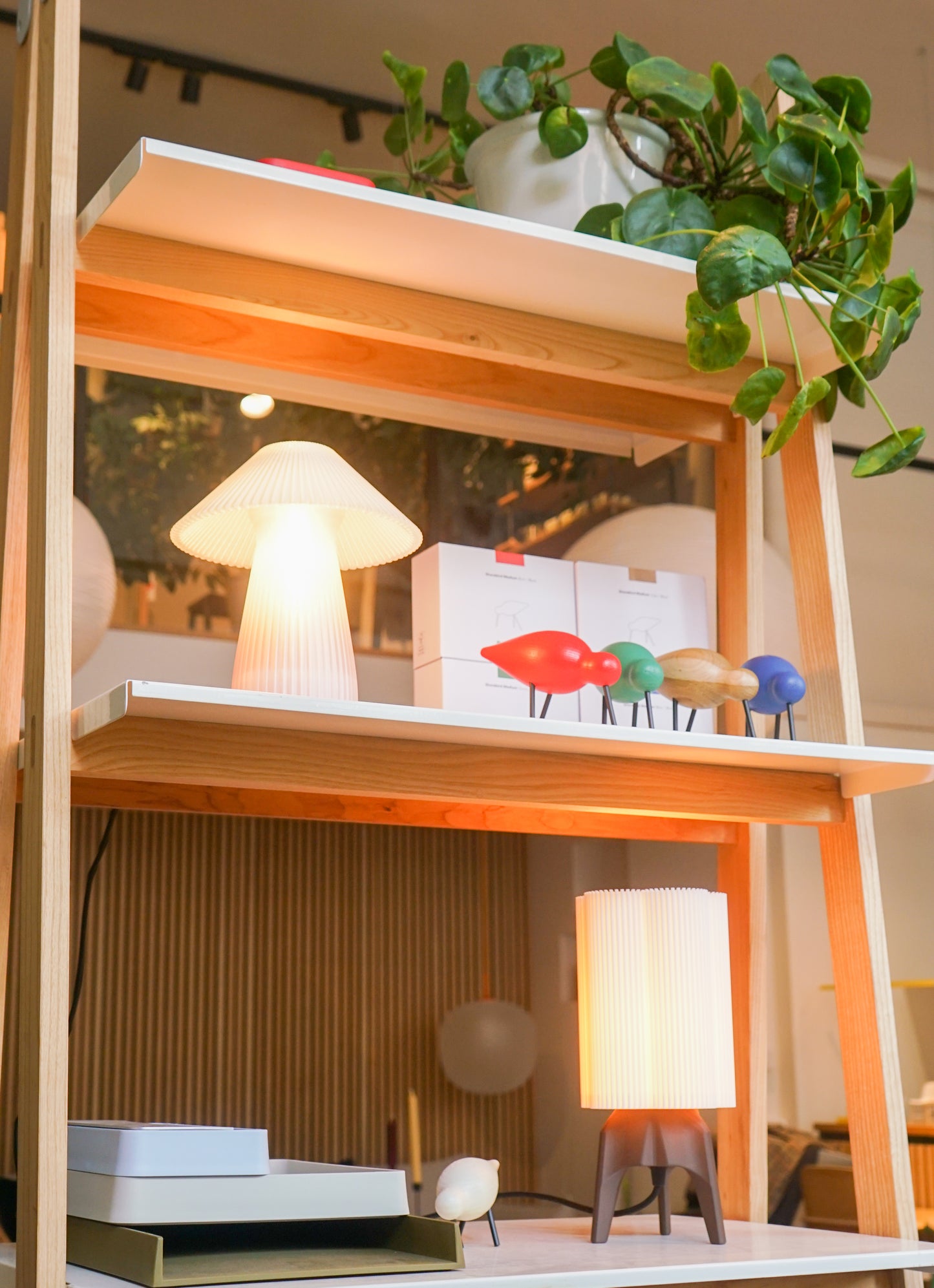 The Stelliform Light 2.0